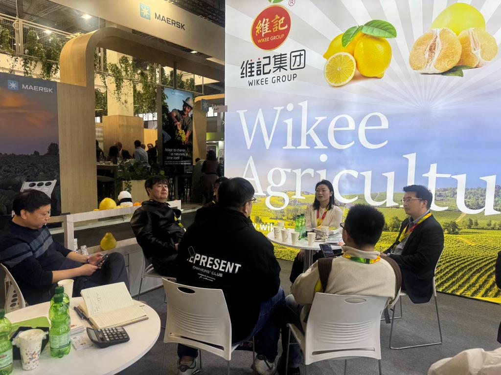 记者手记：开工一线，奋斗者“拼”劲十足